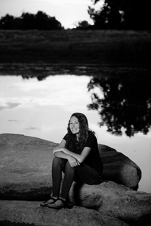 Willner_D_SEN-093-2