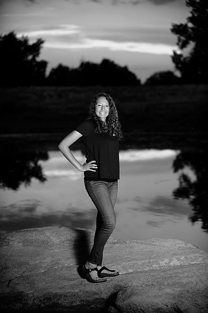 Willner_D_SEN-115-2