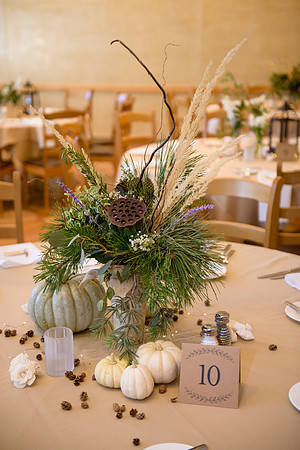 Schievelbein_W_WED-021
