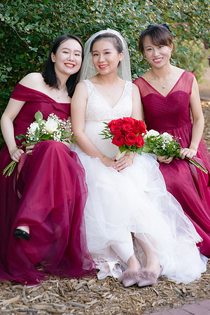 Gould-Huang-WED-148